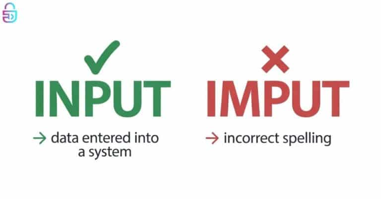 Input vs Imput