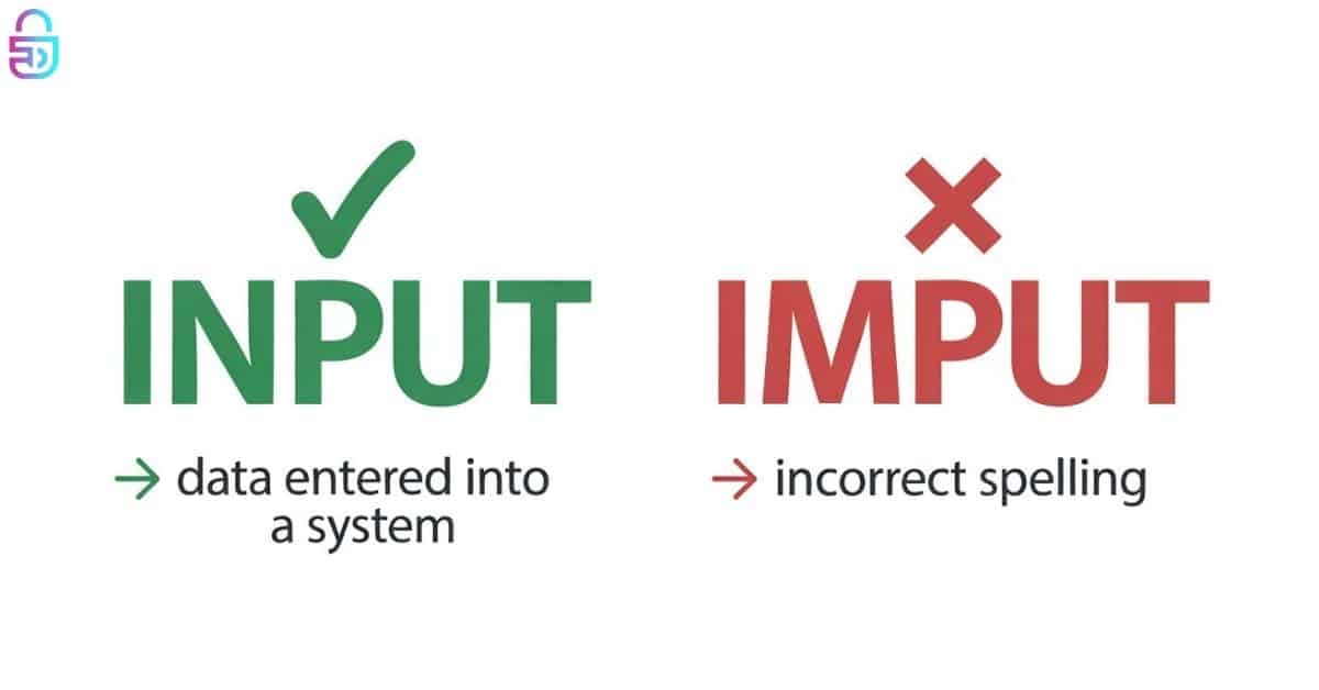 Input vs Imput