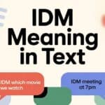 IDM Meaning in Text