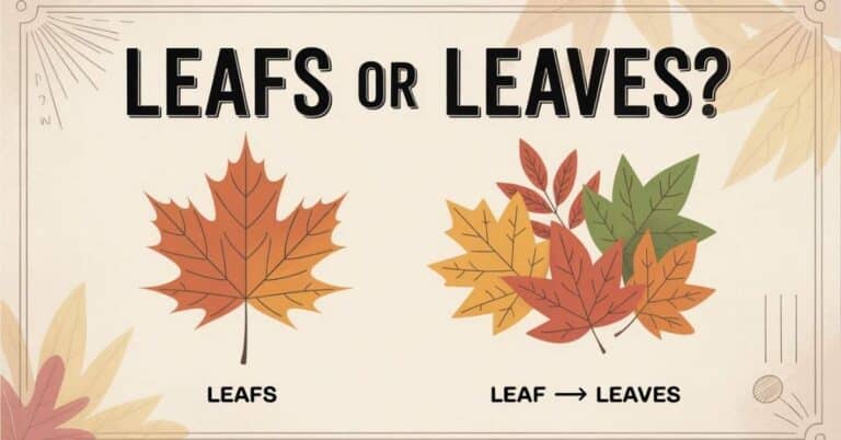 Leafs or Leaves