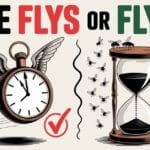 Time Flys or Flies?