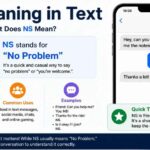 NS Meaning Text