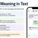 WBY Meaning in Text