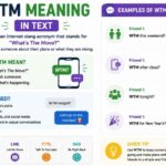 WTM Meaning in Text