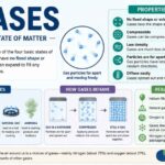 Gasses or Gases