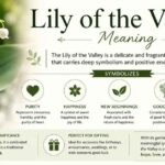 Lily of the Valley Meaning