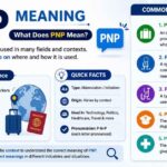 PNP Meaning