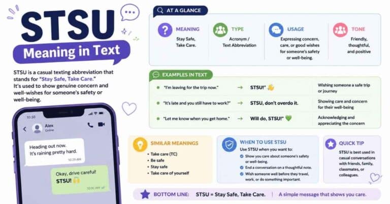 STSU Meaning in Text